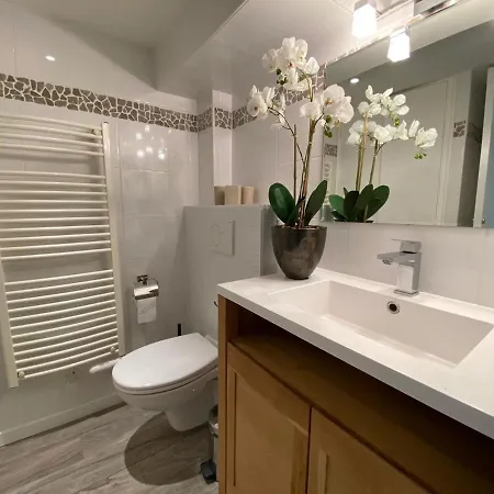 Apartment In With Pool And Access Saint-Raphael (Var)